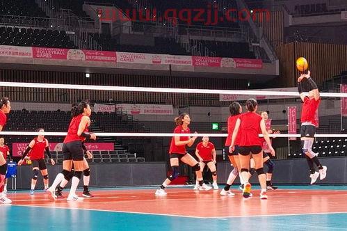 日本女排厉害还是中国女排（日本女排和中国女排 历史成绩）