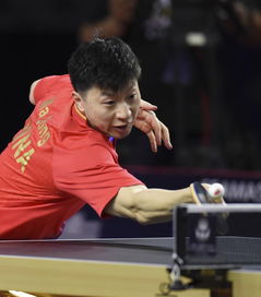 卡塔尔乒乓球公开赛许(2021卡塔尔乒乓球)