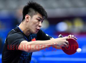 2018卡塔尔公开赛德国(卡塔尔公开赛比赛时间)