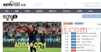 世界杯回放在哪看