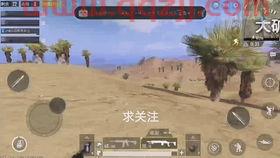 甚加戈念什么