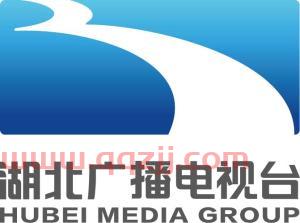 湖北网络广播电视台