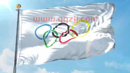 五环黄颜色代表什么意思