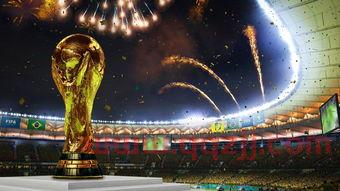 2022年中国举办世界杯