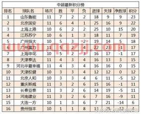 中超积分榜*排名山东鲁能