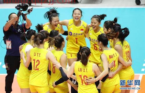 2019女排世界杯分组情况