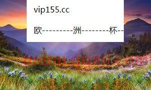 欧洲杯四强什么时候开打
