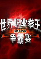 世界职业拳王争霸赛2013