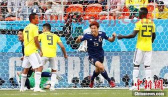 世界杯2022几只球队
