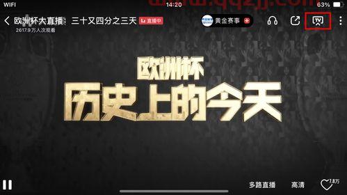 在哪个网站看欧洲杯直播（欧洲杯哪个网站有直播） 第1张