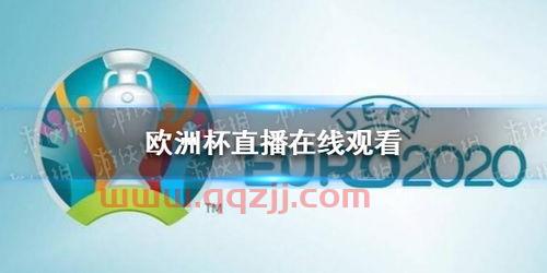 欧洲杯哪里有直播看的（哪里可看欧洲杯直播） 第1张