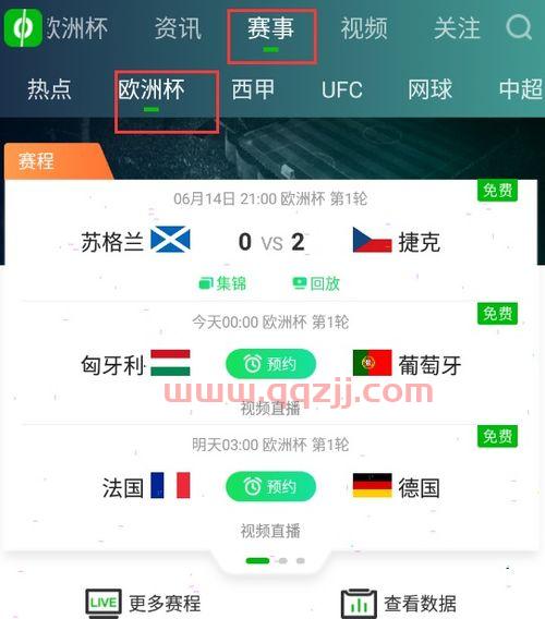 欧洲杯直播到哪里看爱奇艺回放啊（爱奇艺如何看欧洲杯直播） 第1张