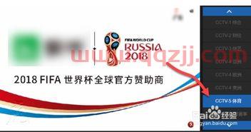 2018世界杯回放哪里看得到（在哪可以看2018世界杯回放） 第1张