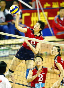 中国女排队员编号（中国女排队员编号是多少）
