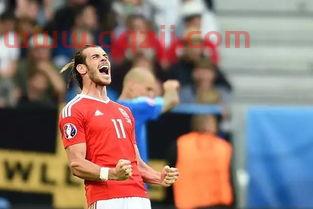 2021年欧洲杯纪录片(欧洲杯2016纪录片) 2021年欧洲杯纪录片(欧洲杯2016纪录片)