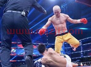 武林风一龙比赛
