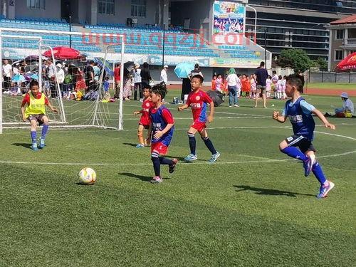 足球杯2021时间直播