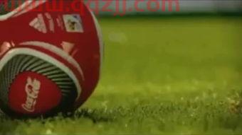 2010南非世界杯主题歌曲