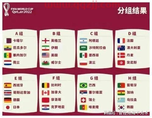 2022年世界杯抽签结果分析