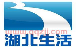湖北生活频道在线播放