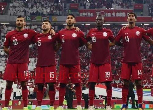 卡塔尔举办世界杯看法