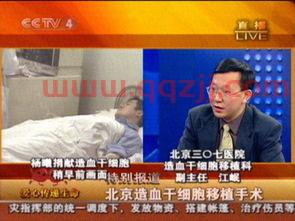 中央电视台四套直播