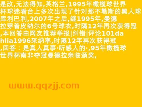 1995南非橄榄球世界杯飞机