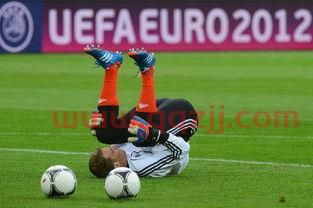 今年欧洲杯在哪举行