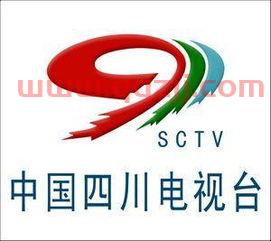 四川电视台公共频道