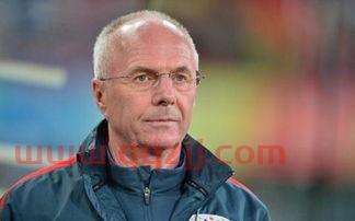 埃里克森什么水平