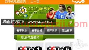 欧洲杯***网络直播回放时间（欧洲杯电视直播时间表） 第1张