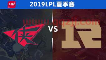 rng2019夏季赛