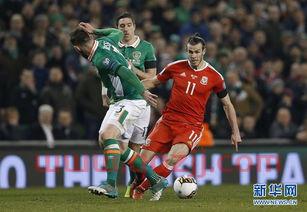 世界杯预选赛威尔士