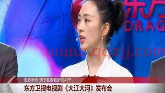 东方卫视高清直播回放