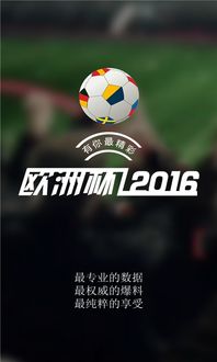 2016年匈牙利欧洲杯（2016年匈牙利欧洲杯比分） 第1张