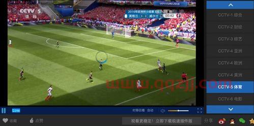 欧洲杯上哪里看直播美洲杯的回放（美洲杯怎么看视频直播） 第1张