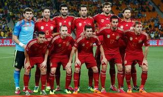 2010年西班牙欧洲杯阵容对阵的简单介绍 第1张