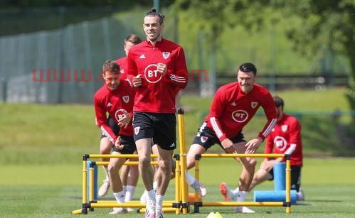 法国队欧洲杯球员身价（法国队欧洲杯球员身价多少） 第1张