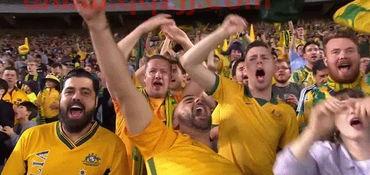 你们在哪里看世界杯（哪里能看世界杯） 第1张