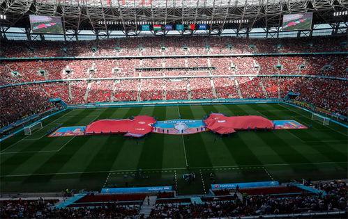 欧洲杯球场面积多大（欧洲杯球场面积多大平方米） 第1张