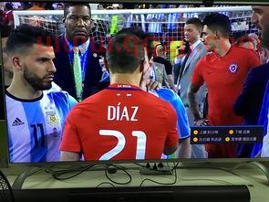 欧洲杯从哪里看直播比赛结果（欧洲杯决赛在哪里看直播） 第1张