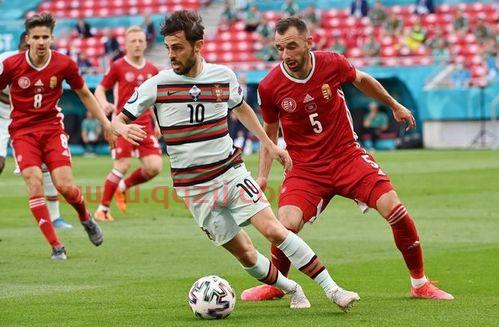 欧洲杯德国vs匈牙利（欧洲杯德国vs匈牙利进球） 第1张