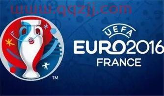 2016意大利欧洲杯阵容（2016欧洲杯意大利国家队阵容） 第1张