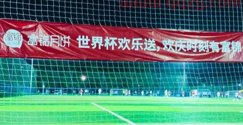 看世界杯足球赛的心情（看足球比赛的心情） 第1张
