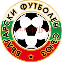 保加利亚的足球队（保加利亚足球队队徽） 第1张