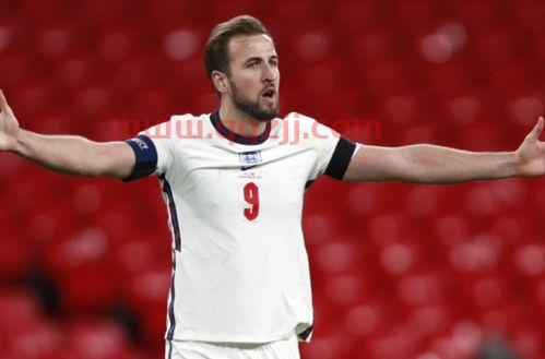 本届欧洲杯比利时队员名单(比利时欧洲杯人员名单) 第1张 本届欧洲杯比利时队员名单(比利时欧洲杯人员名单) 第1张