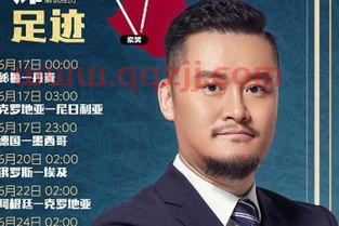 ***5足球解说贺炜（***5足球解说员贺炜） 第1张